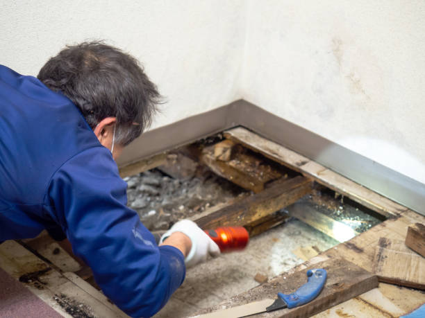 Water Damage Restoration in Lake Darby, OH