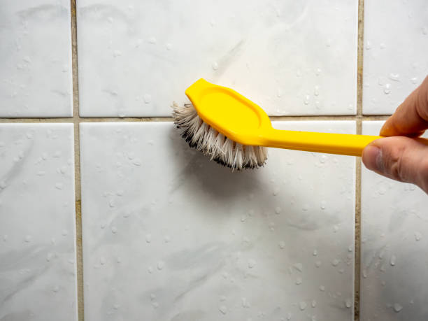 Trusted Lake Darby, OH Mold Removal Experts