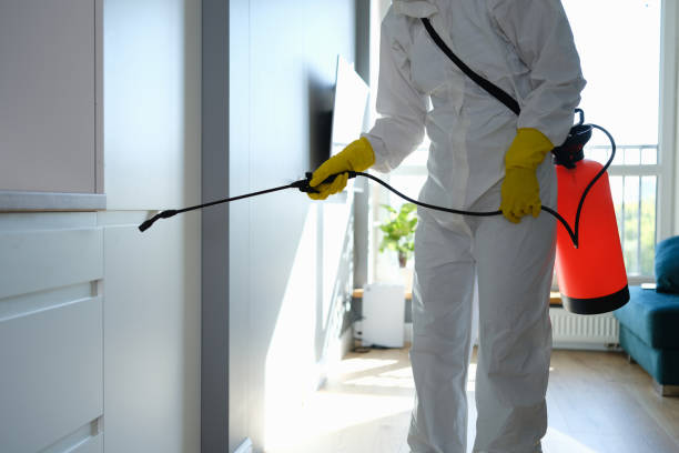 Best Mold Cleaning Services  in Lake Darby, OH
