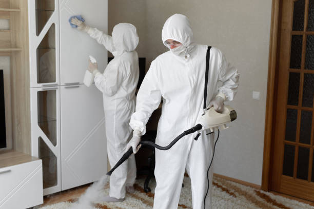 Mold Testing and Removal in Lake Darby, OH