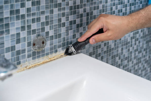 Best Emergency Mold Removal  in Lake Darby, OH
