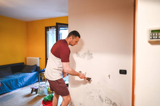 Best Residential Mold Removal  in Lake Darby, OH